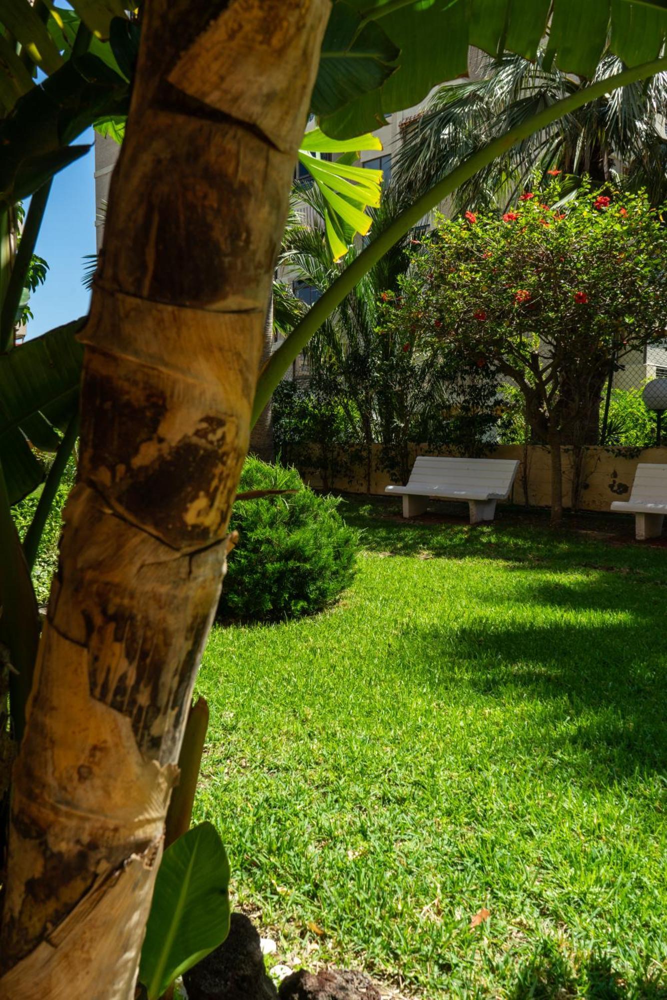 Vivienda De Lujo Junto Al Mar Apartment อาลิกันเต ภายนอก รูปภาพ